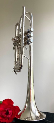 Bach stradivarius c180l - bach,