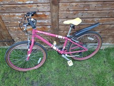 Raleigh Pop 24” Kids Bike