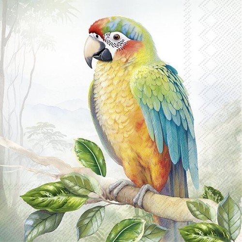 Paper - 4,