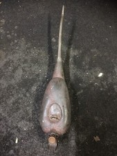 GENUINE BRAIME OIL CAN not barn find  collection leeds area may post