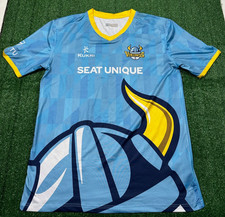 Yorkshire Vikings Cricket 2024