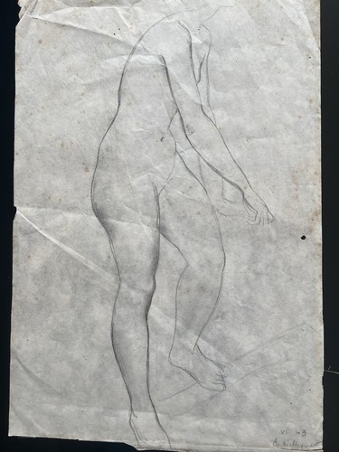 Large 1940s life - pencil, study
