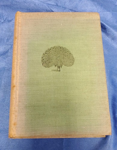 The tree that sat down - tree,