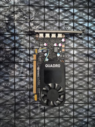 Nvidia quadro p600 2gb - hp,