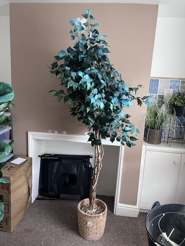 6ft artificial ficus - ficus, tree