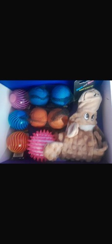 Mixed dog toy box - dog,