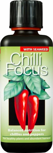 Growth technology chilli focus - technology,