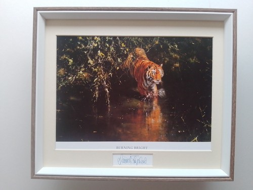 David shepherd tiger print - david,