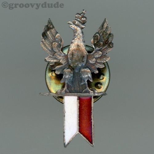 Poland white eagle - white,