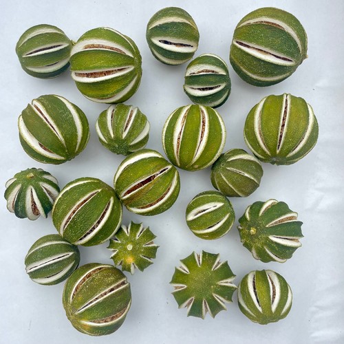 Dried whole green limes - green, &