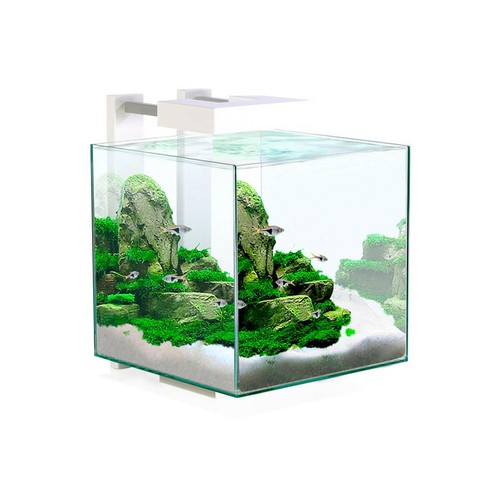 Ciano nexus pure aquarium - ciano,