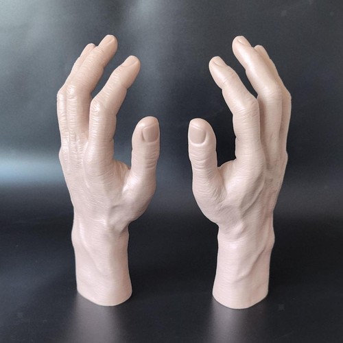 2pcs hand model fake - 2pcs,