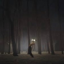 Geese Projector (Vinyl) 12"