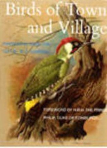Birds town and - birds,