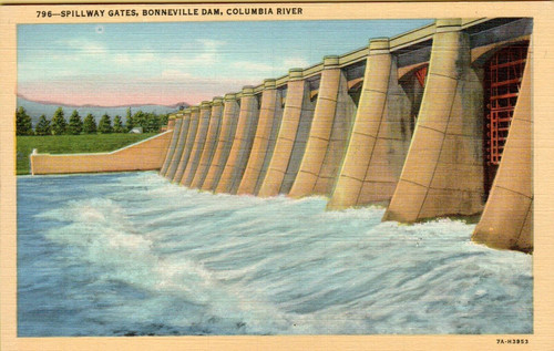 Bonneville dam columbia river - columbia,