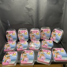 X13 Inflatable Beach Balls Job