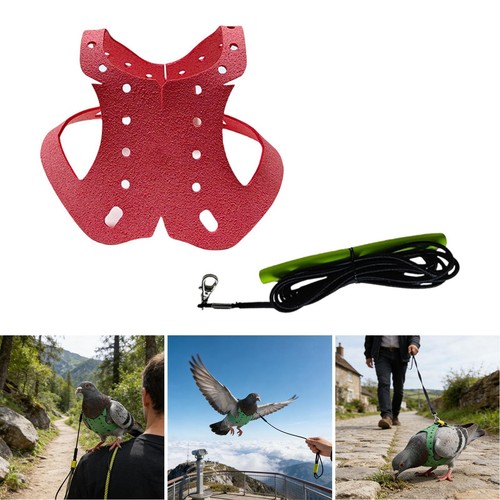 Adjustable bird harness lead - harness,
