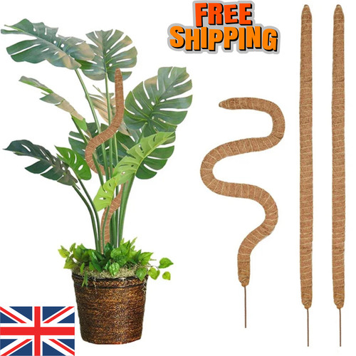 80cm moss pole climbing - 30-80cm,