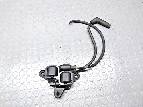 Aprilia tuono 1000 2006 - tuono,
