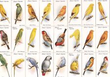Players   1933  Aviary & Cage Birds  set of 50  POST FREE !