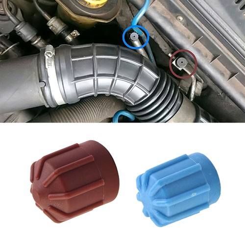 Valve dust cap - 2x, a/c