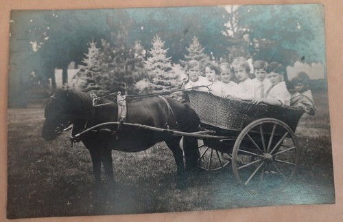 Rare young children riding - rare,