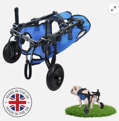 Wheels cat dog - dog, xs