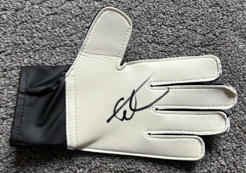 Edwin van der sar signed - van,