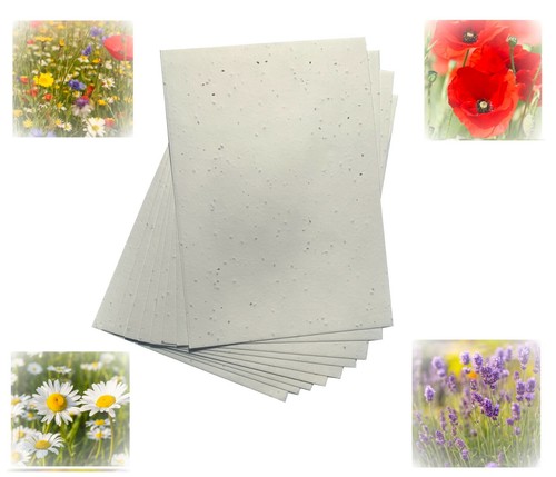 Seed craft paper - paper, a4