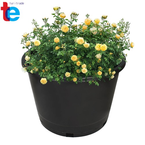 Gallon heavy duty large - 10,
