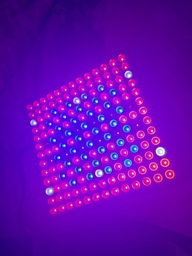 Full spectrum led grow lights - grow,