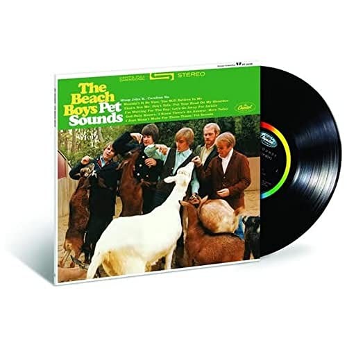 Beach boys pet - pet,