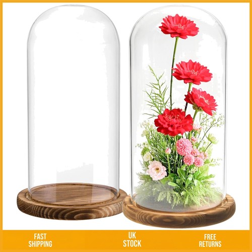 Elegant clear glass cloche - clear,