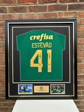 framed hand signed Estêvão willan Sociedade Esportiva Palmeiras home shirt