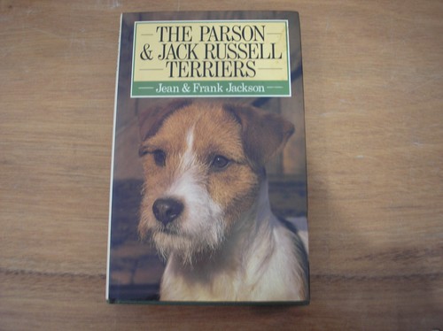 The parson and jack russell - parson,