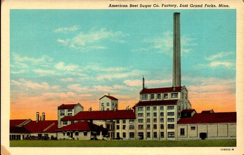 Postcard american beet - w.b.,