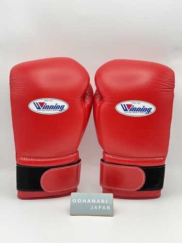 Winning boxing gloves - winning,