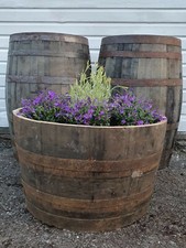 LARGE WIDE 45CM TALL OAK HALF