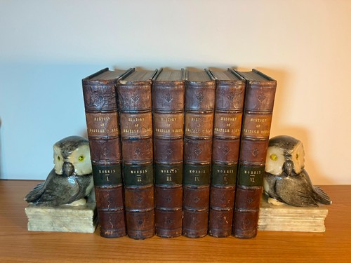 History british birds - of,