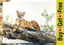 Cougar on Log 5"x7" Print on