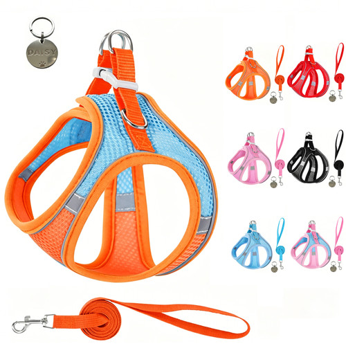 Ergonomic dog harness - lead, set