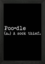 Poodle A Sock Thief Framed