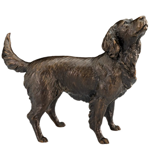 Richard cooper bronze medium - cooper,