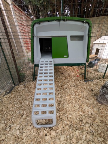 Omlet eglu cube mk2 - walk, in