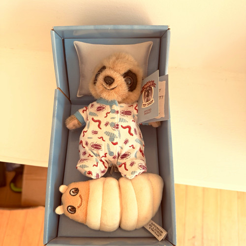 Compare the meerkat baby - baby, oleg