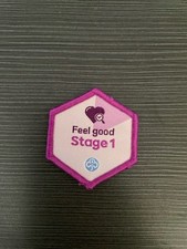 Girlguiding Feel Good Stage 1 Skills Builder Badge - Used