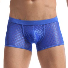 U-shaped Convex Design Boxer Briefs Men's Sexy Nylon Mesh Underwear