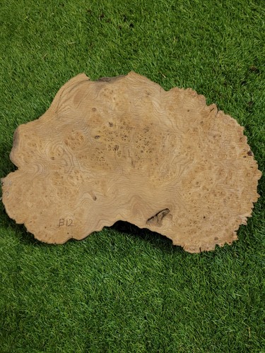 Burr elm woodturning - woodturning, blank