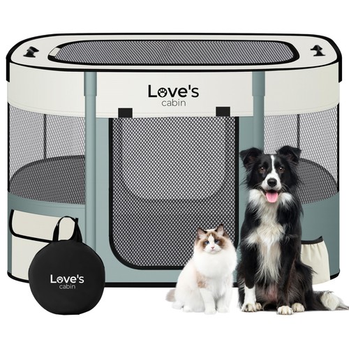 Pet puppy dog - pet, large