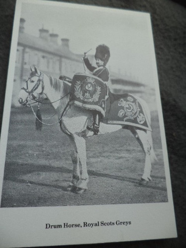 Photographic postcard royal - postcard,